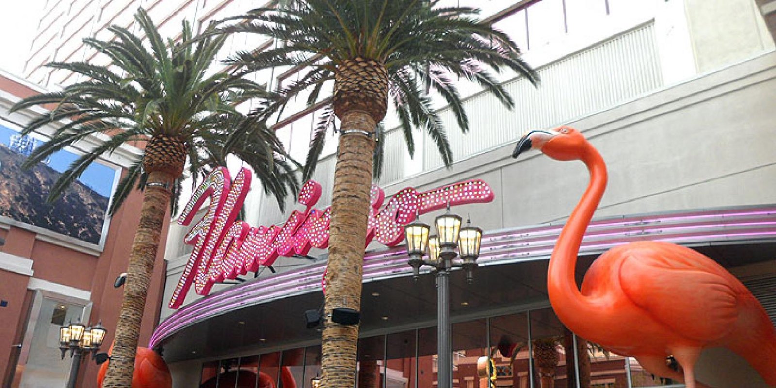 flamingo las vegas | fabulous las vegas