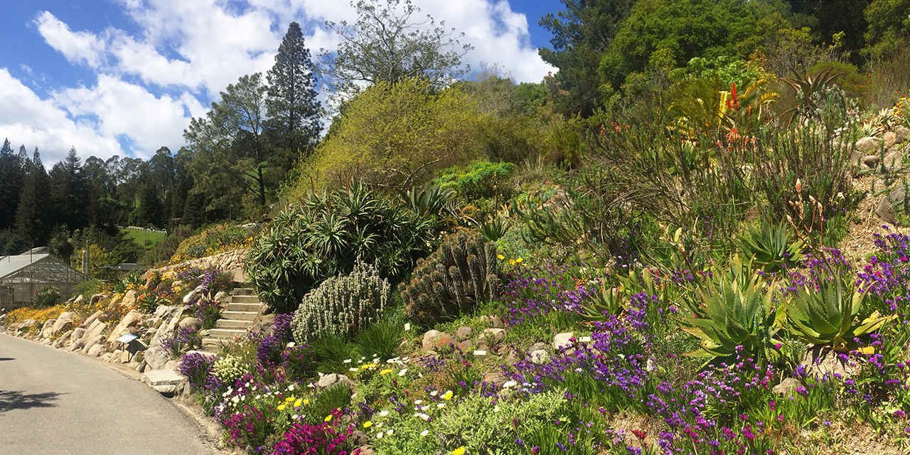 must-see gardens in california