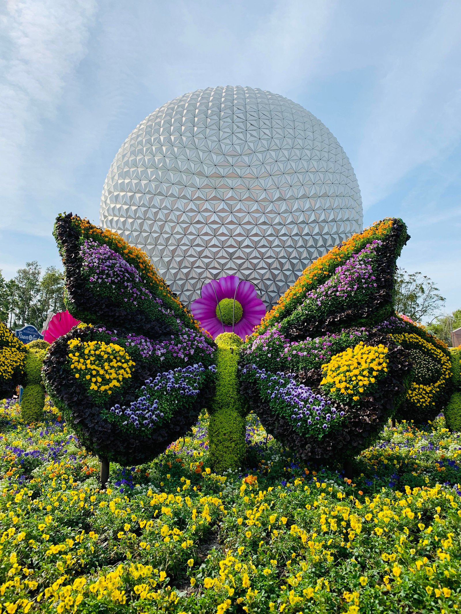 epcot flower and garden festival : waltdisneyworld