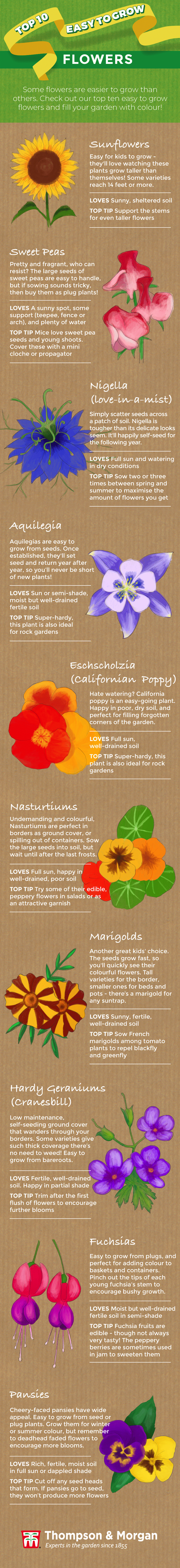 top 10 easy to grow flower plants and seeds for beginners