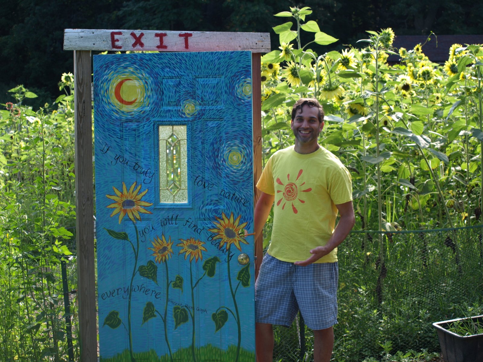 sunflowers a-'maze' at manor farm — long islander news