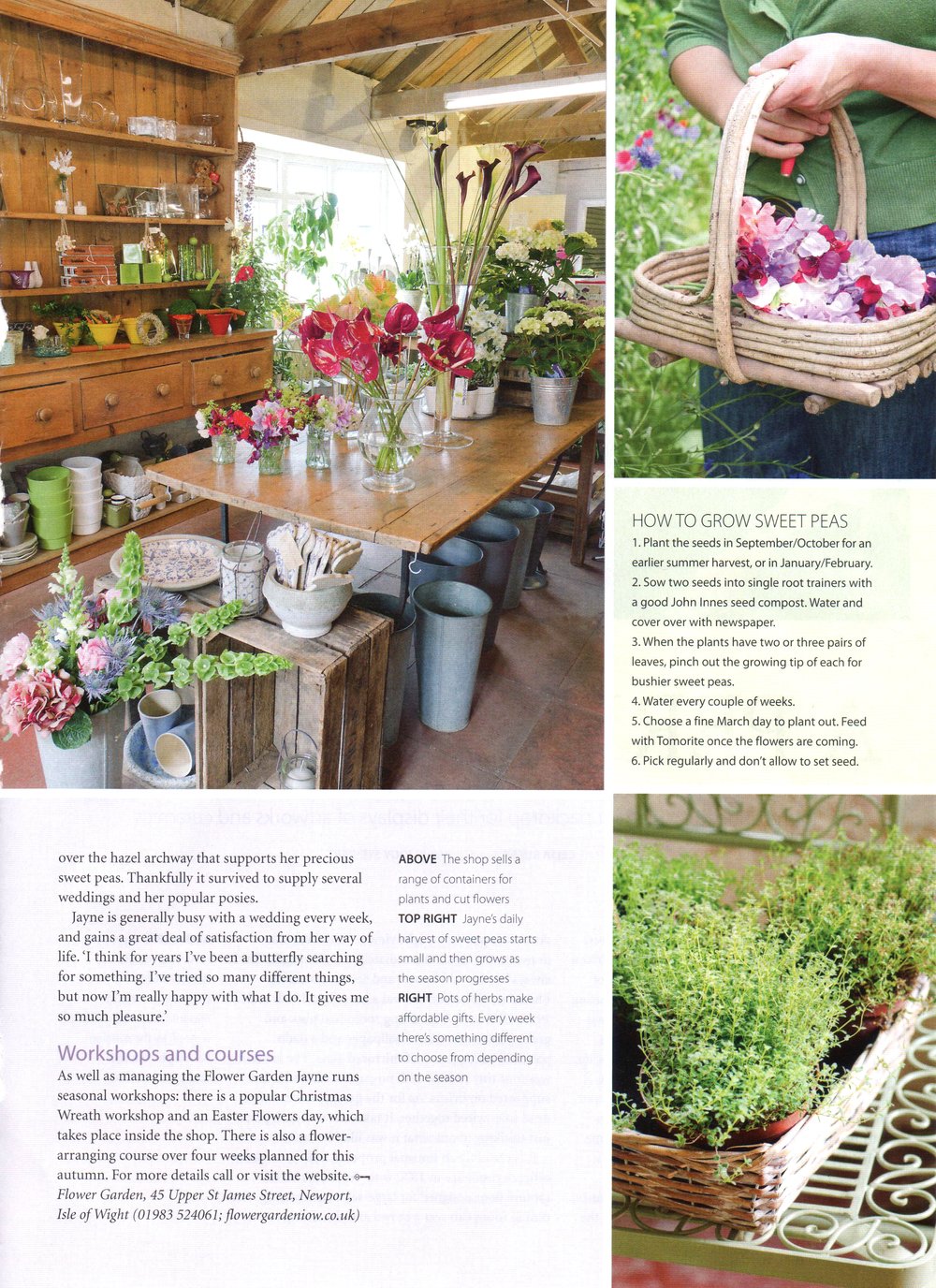 petal power — heather edwards photography