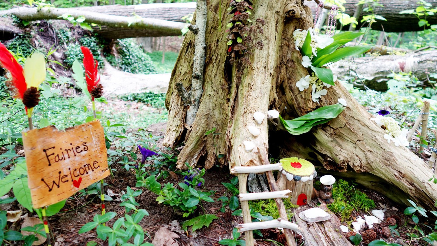 traverse city fairy trails at the botanic garden at historic barns park