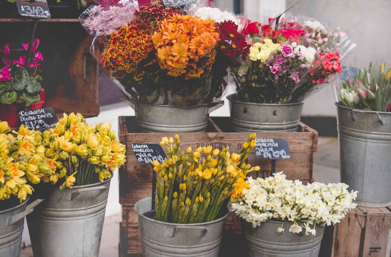 how to be profitable using a cutting flower garden