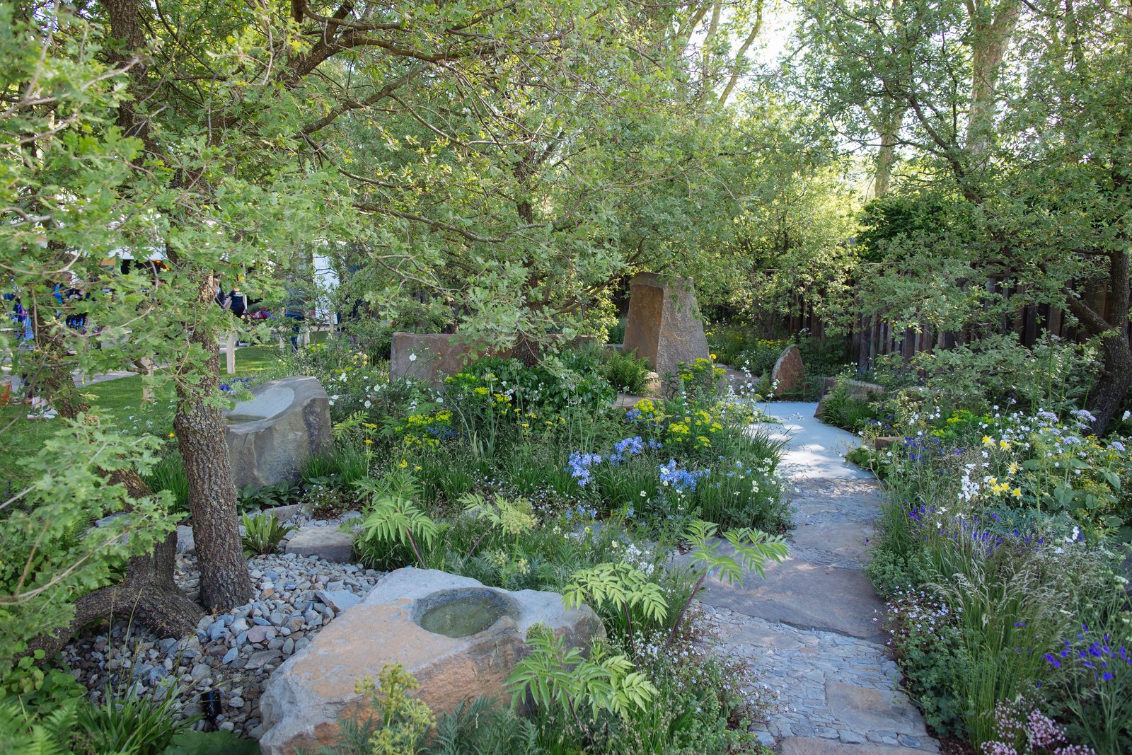winners of the rhs chelsea flower show 2016