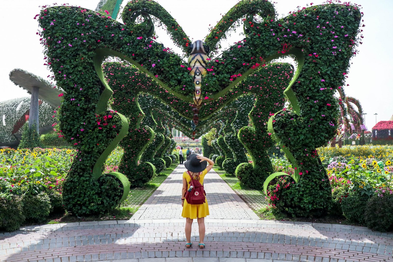 22 reasons to visit the dubai miracle garden - the little backpacker