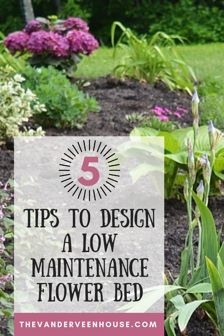 the best tips for designing and planting a low maintenance flower