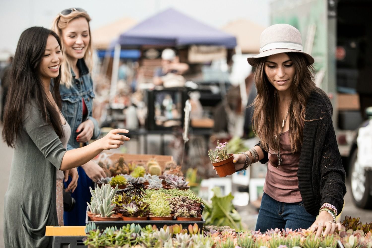 12 ways to find free or cheap garden plants