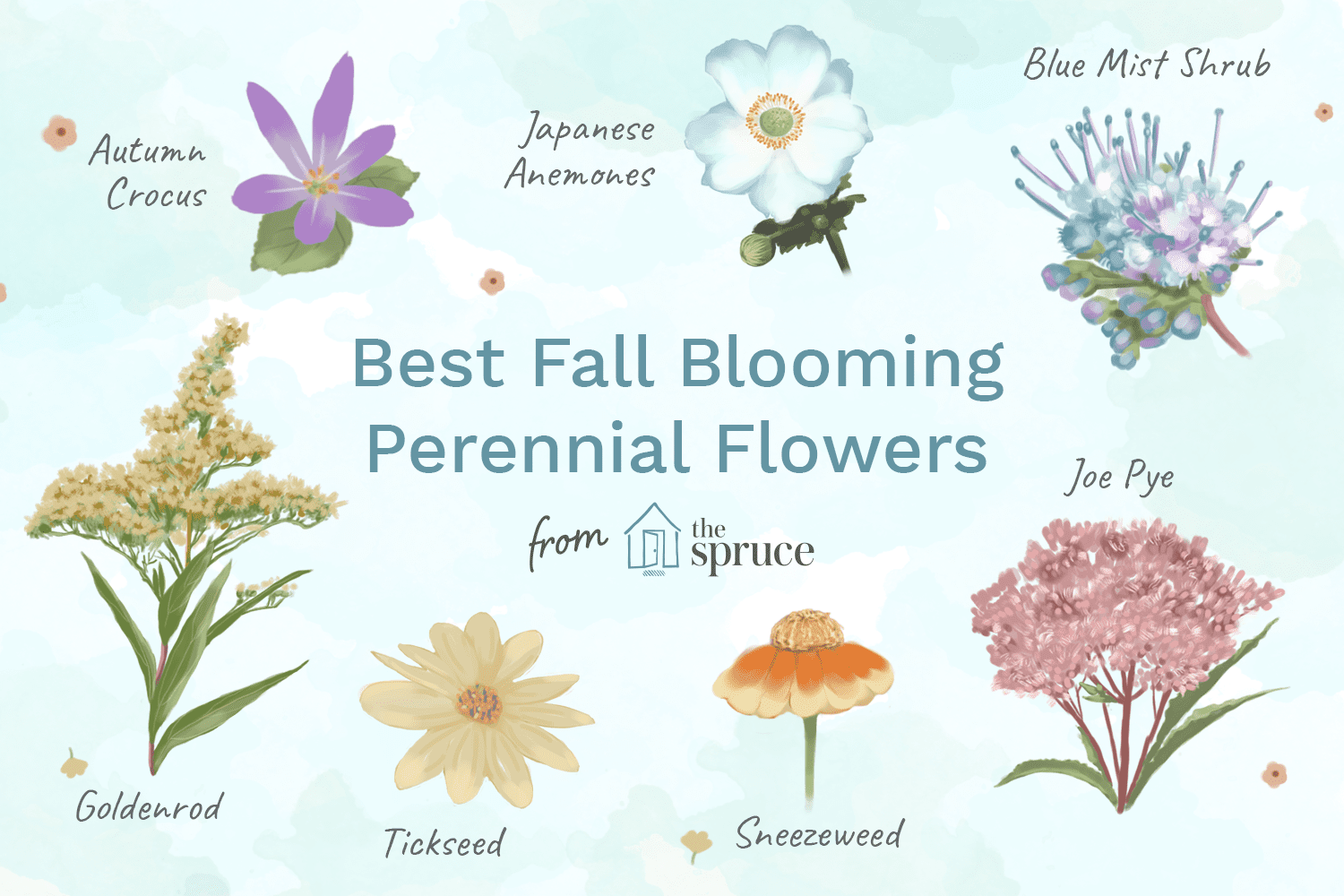 top 15 fall-blooming flowers for a perennial garden