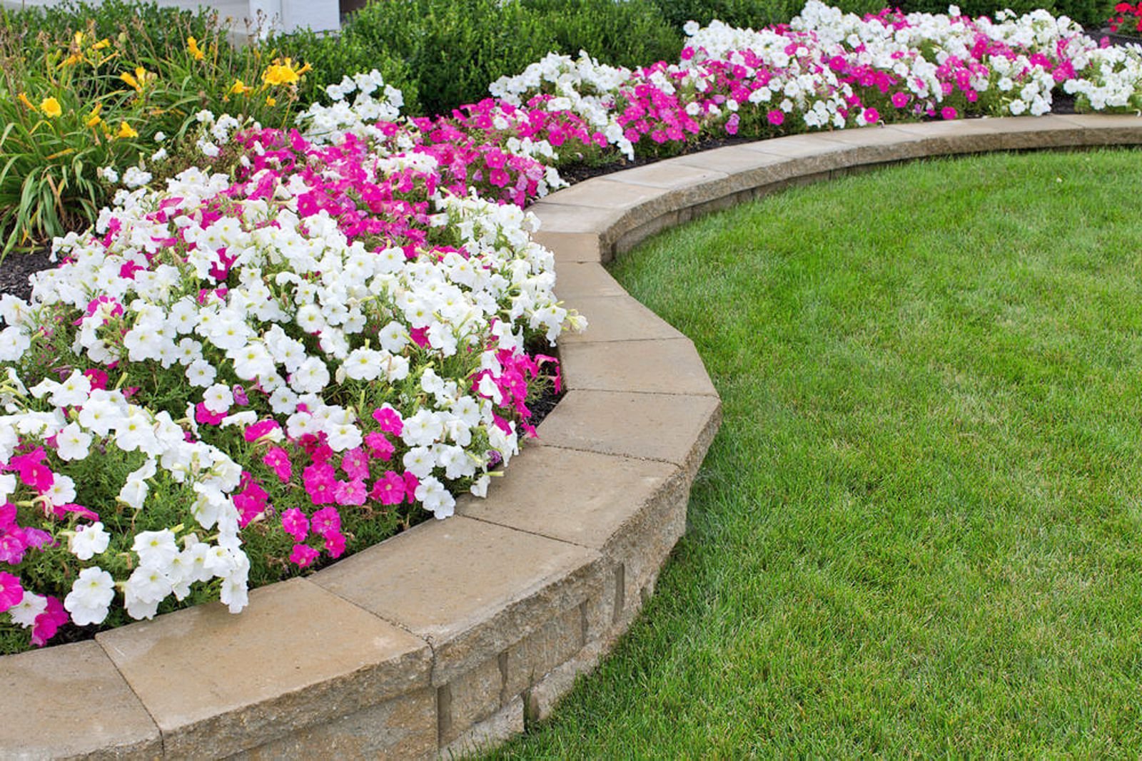 15 garden edging ideas