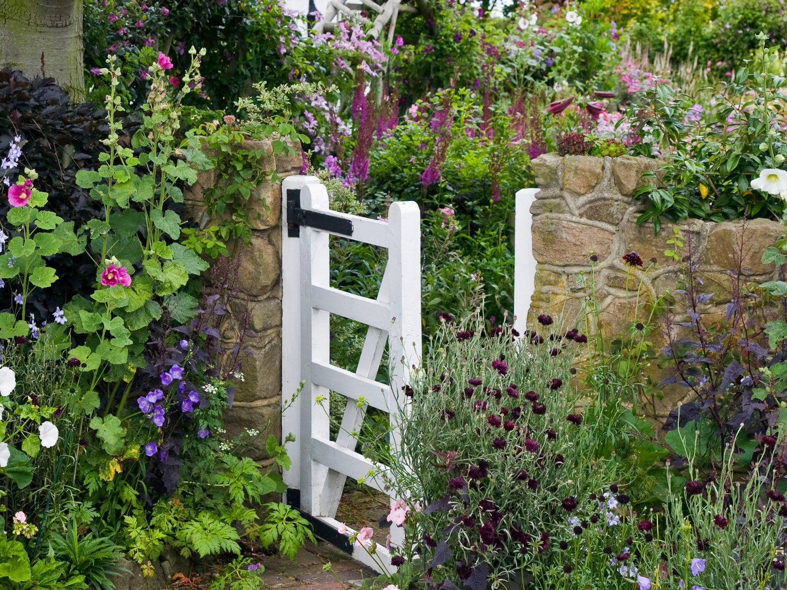 designing a cottage garden