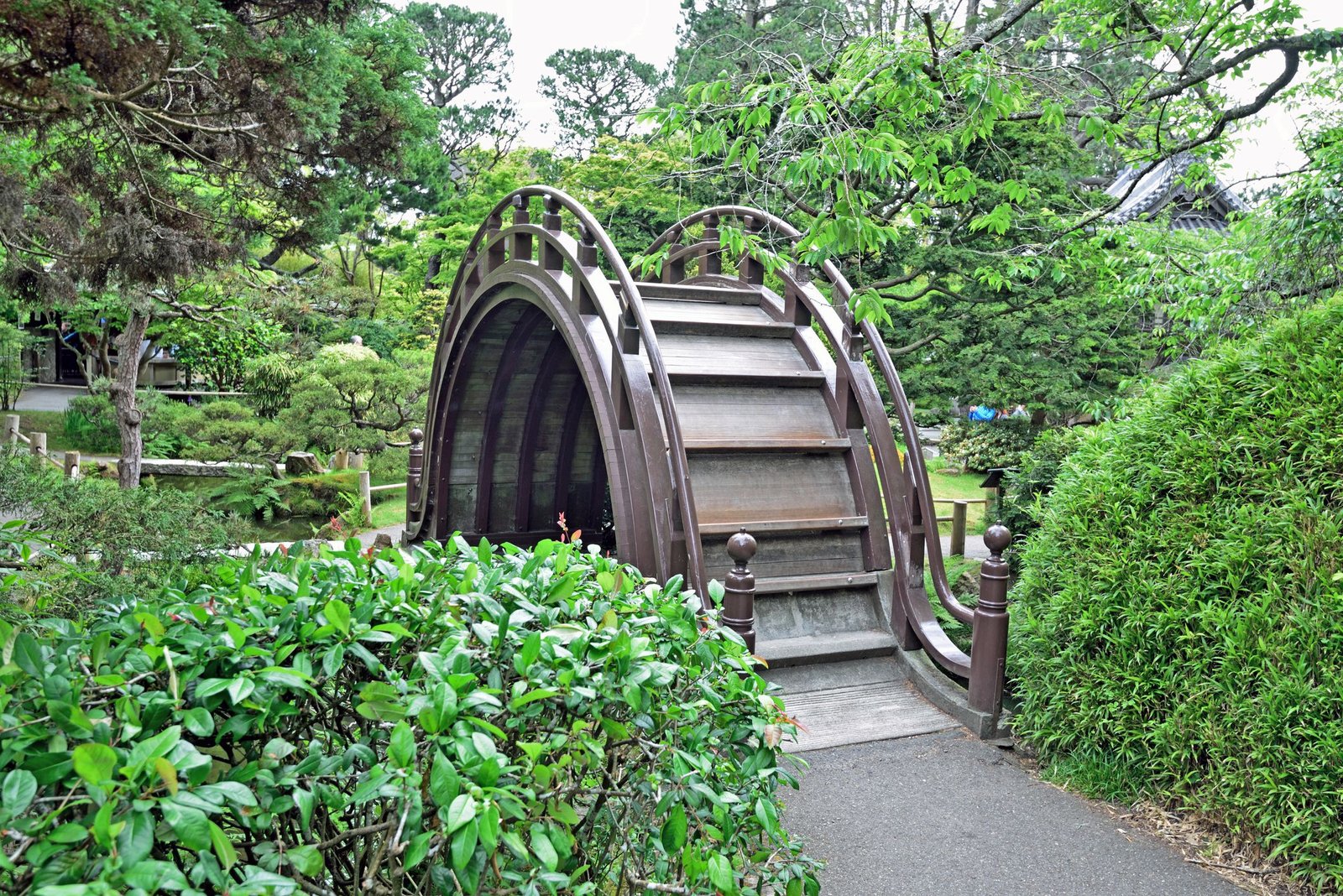 a guide to the japanese tea garden in golden gate park