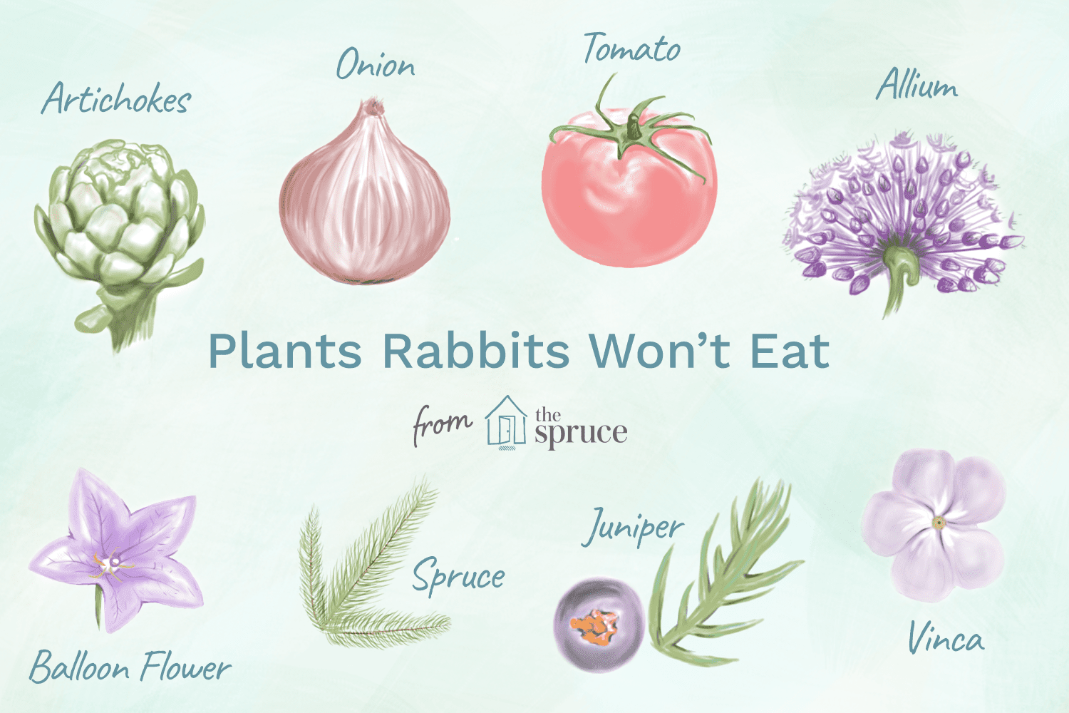 plants rabbits will not eat