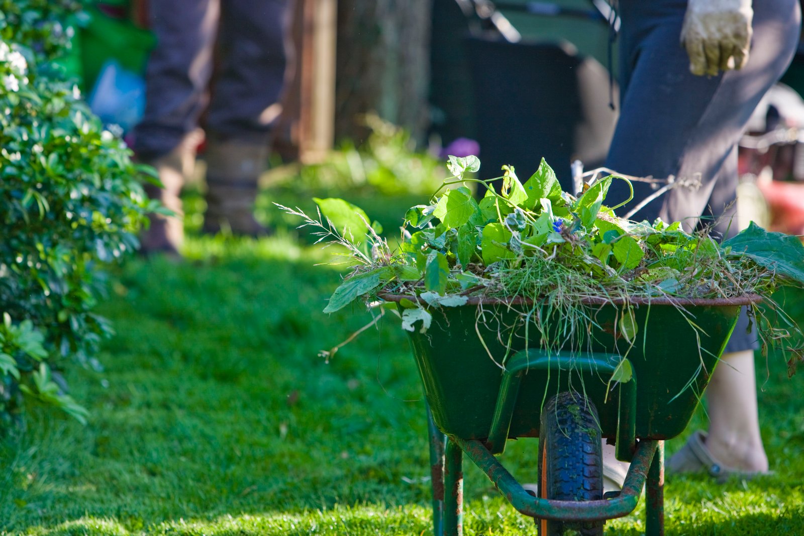 how to put your garden to bed and prepare for cold weather
