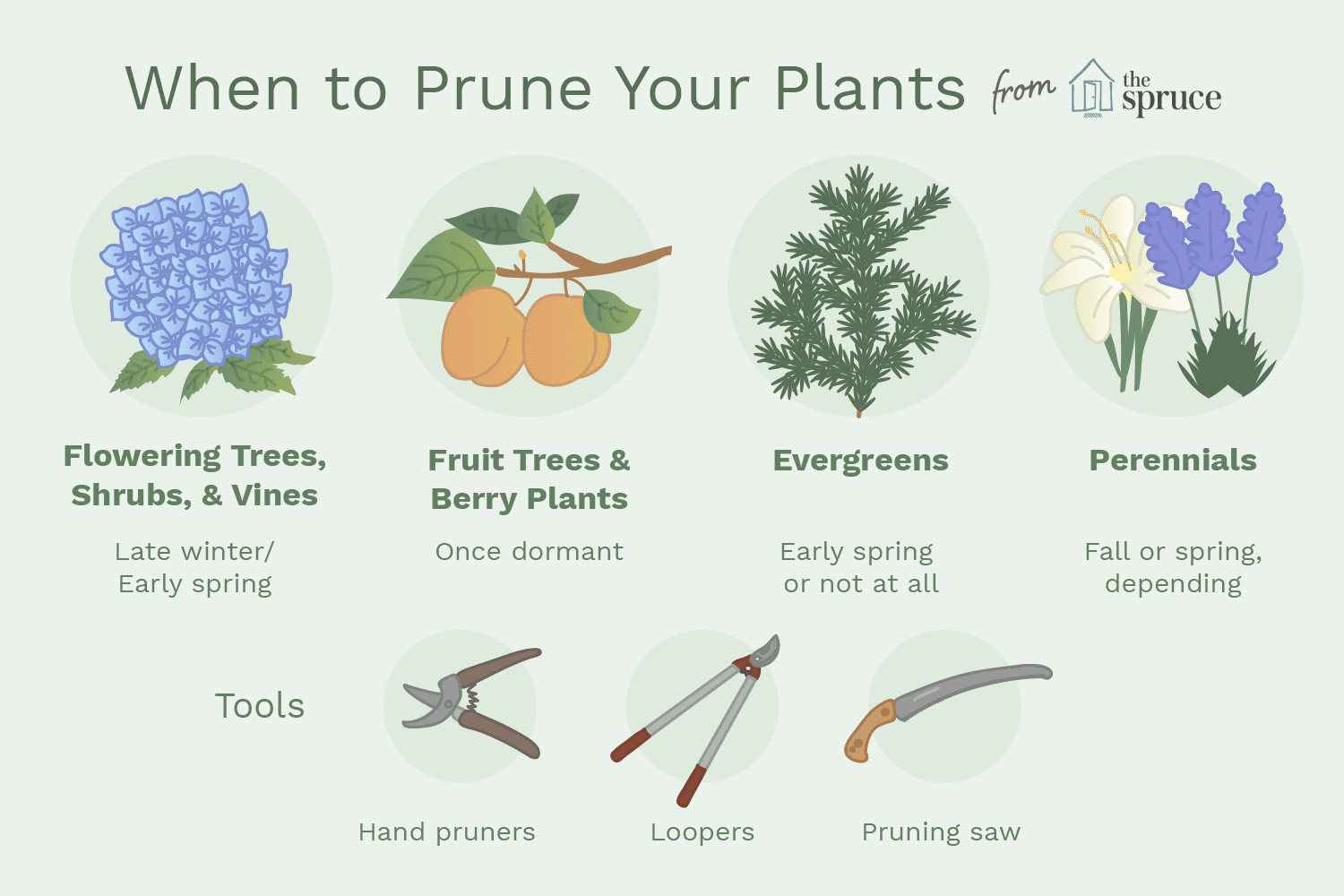 how to prune trees and plants