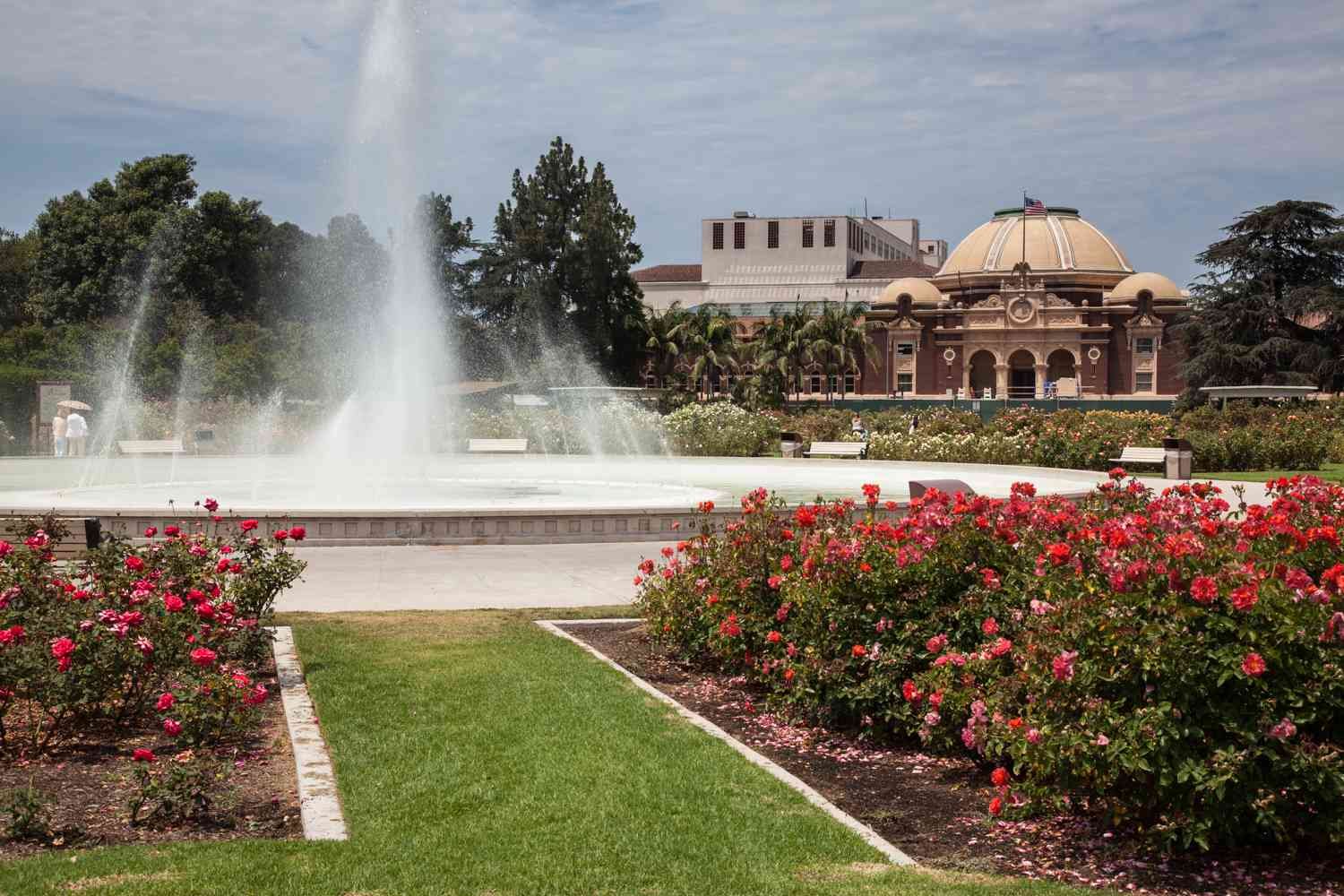 visiting exposition park rose garden in los angeles