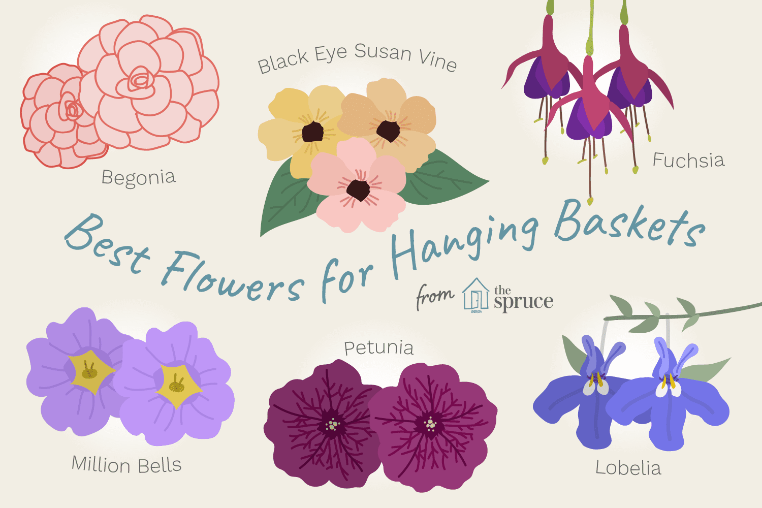 11 best flowers to use in hanging baskets
