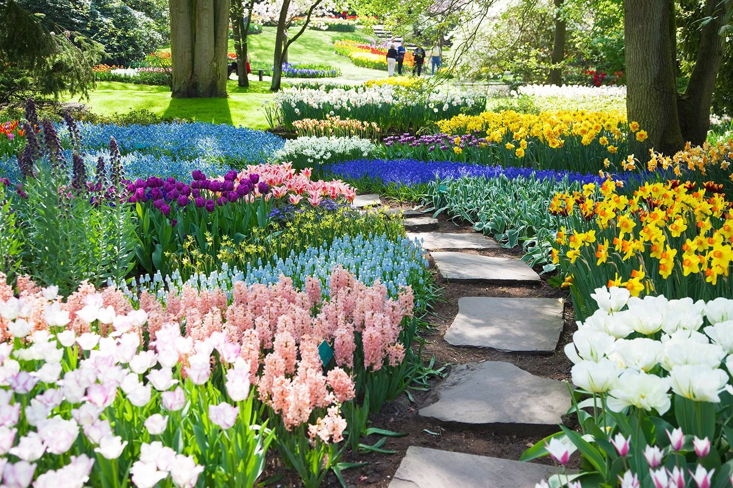 creating a planting bed, and choosing and arranging the flowers