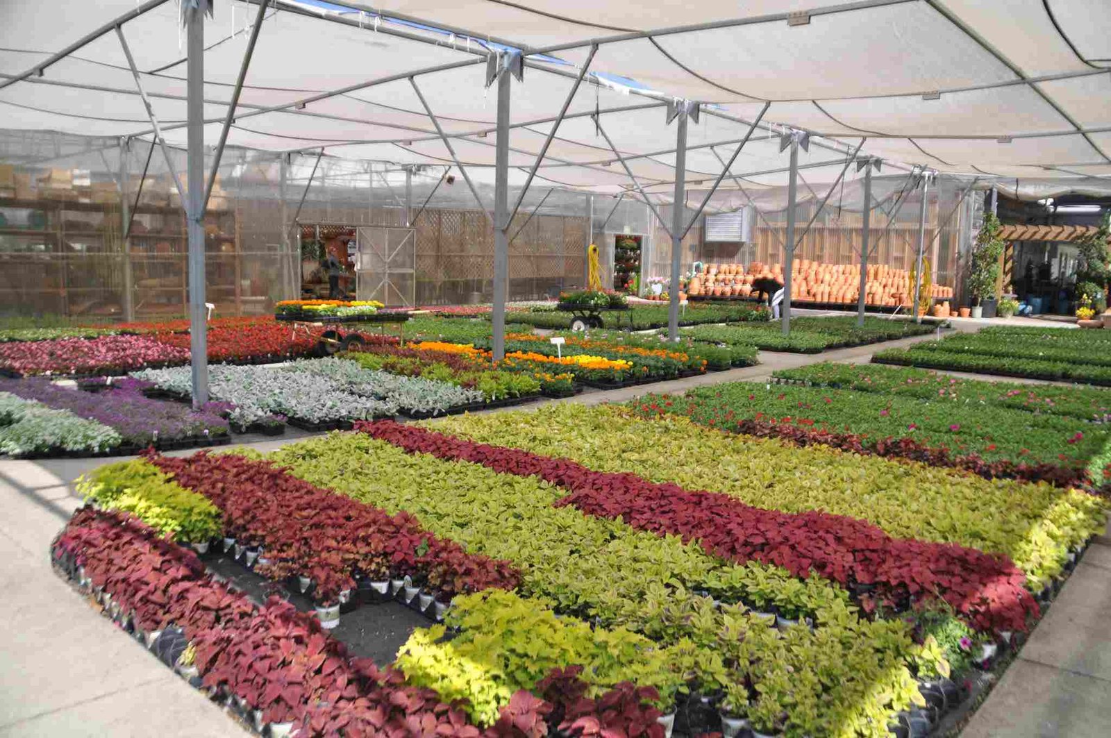 the best nurseries and garden centers in charlotte