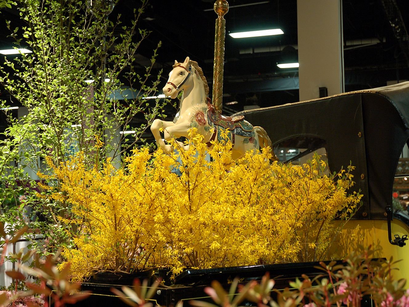 boston flower & garden show 2018