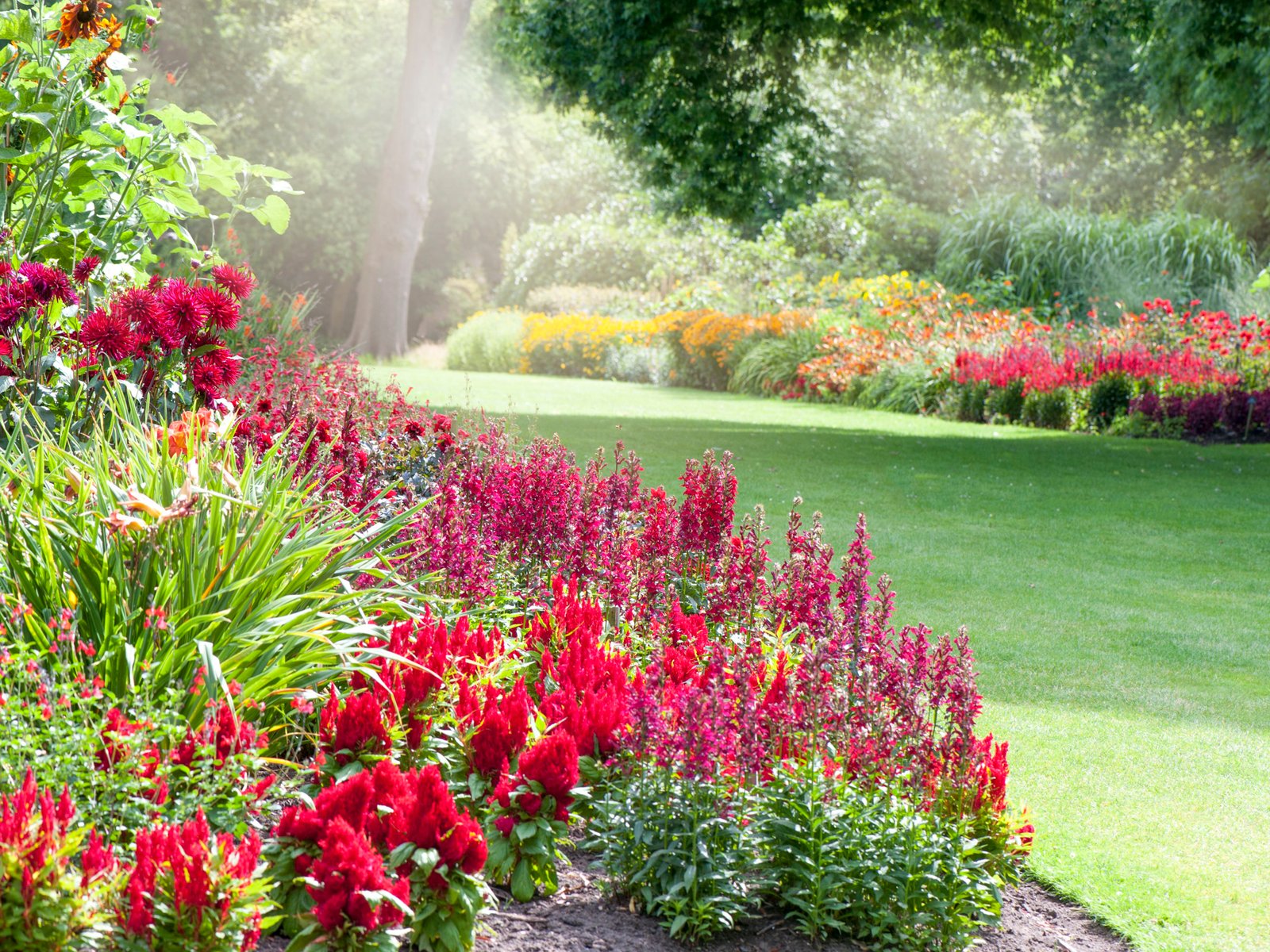 10 foolproof perennial plants for the northeast u.s.
