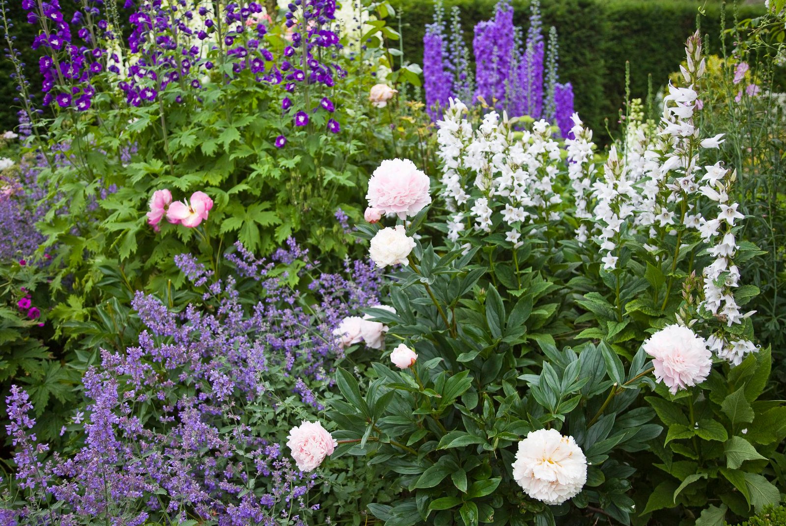 how to plan and grow a cutting garden