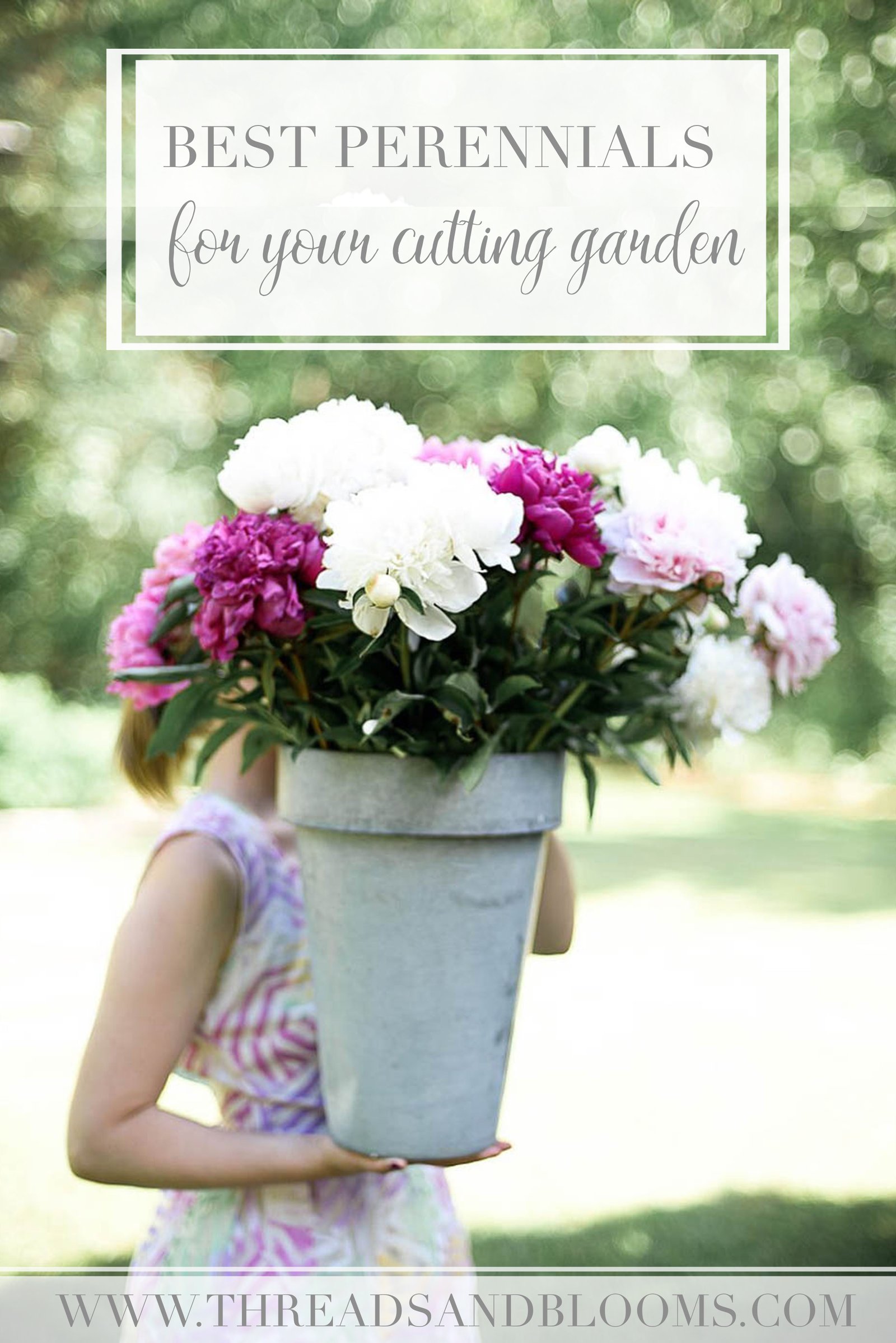 cutting garden perennials - low maintenance plants for cut flowers