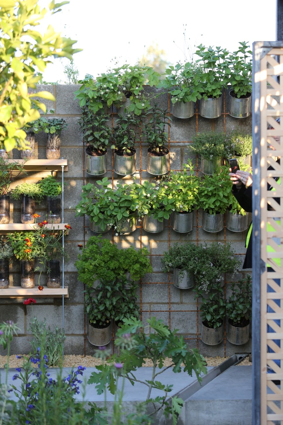 unhcr - seeds of hope: chelsea flower show inspires refugee gardeners