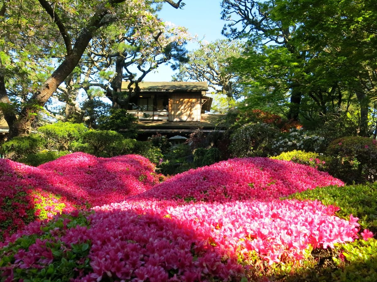 21 places to celebrate spring in san francisco - curbed sf