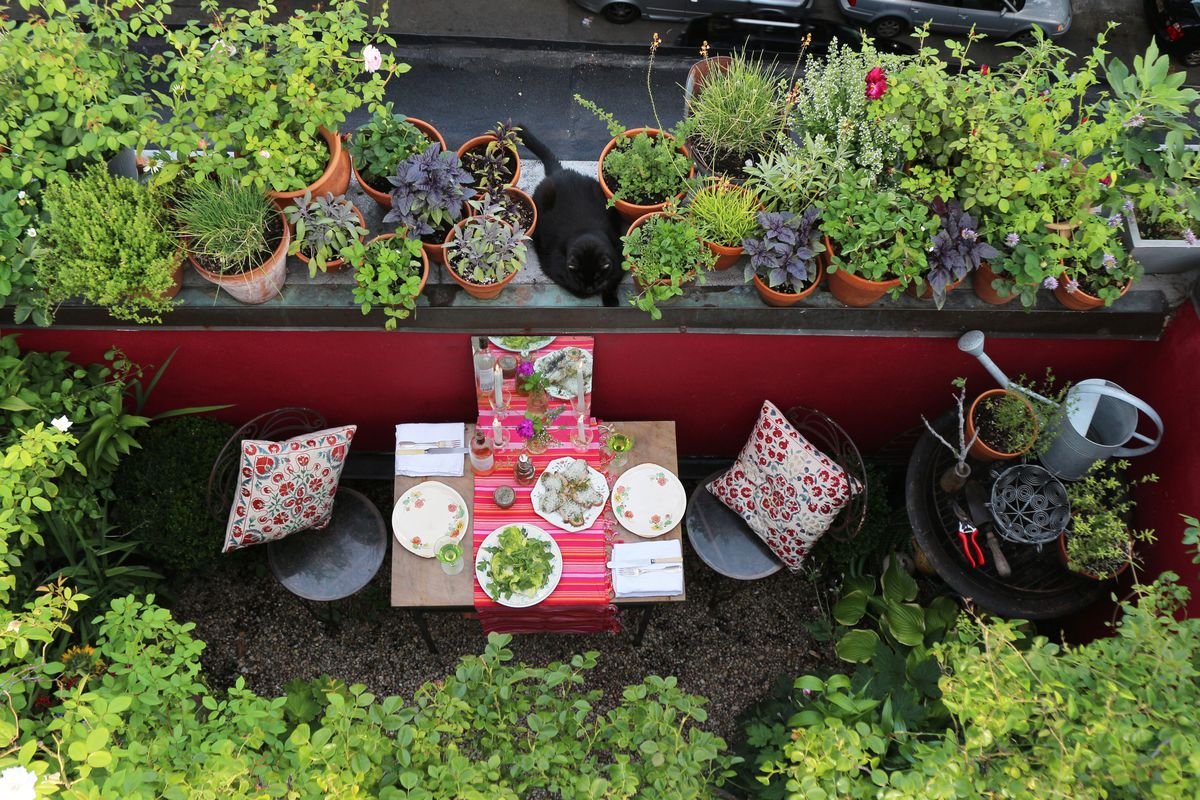 city gardens: design ideas and tips for a small yard - curbed