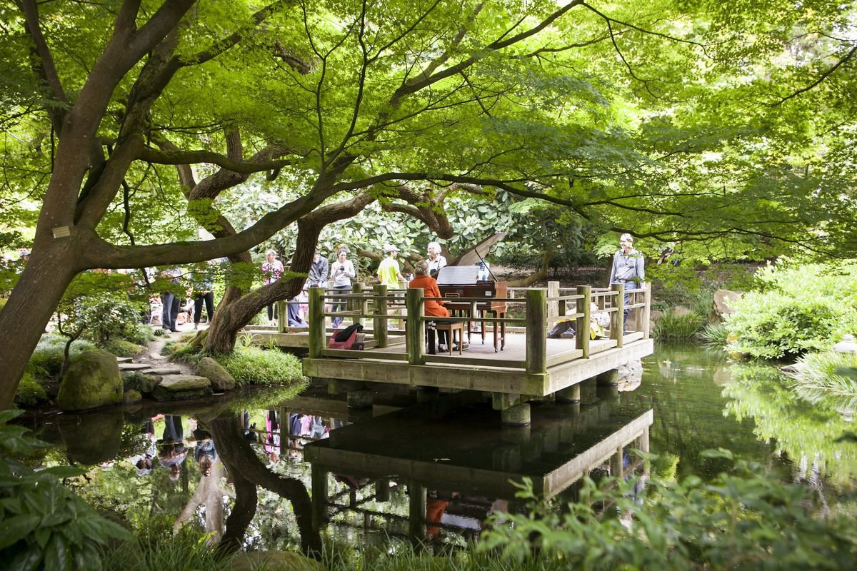 flower piano returns to sf botanical garden this week - curbed sf