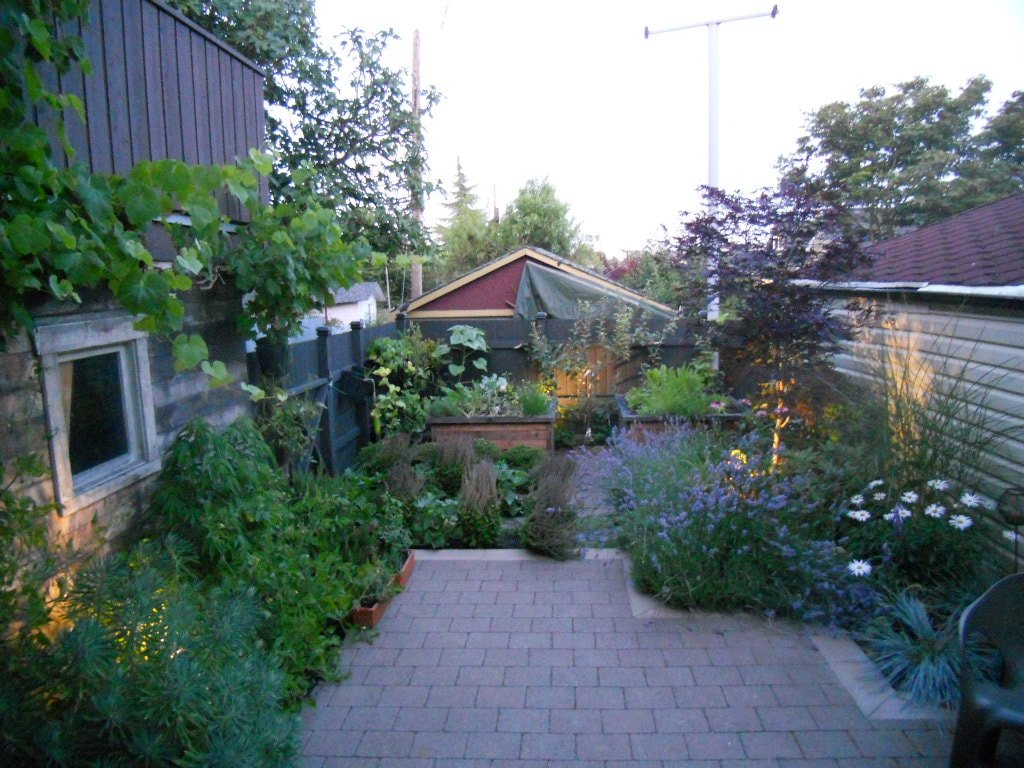 flower power garden design - home