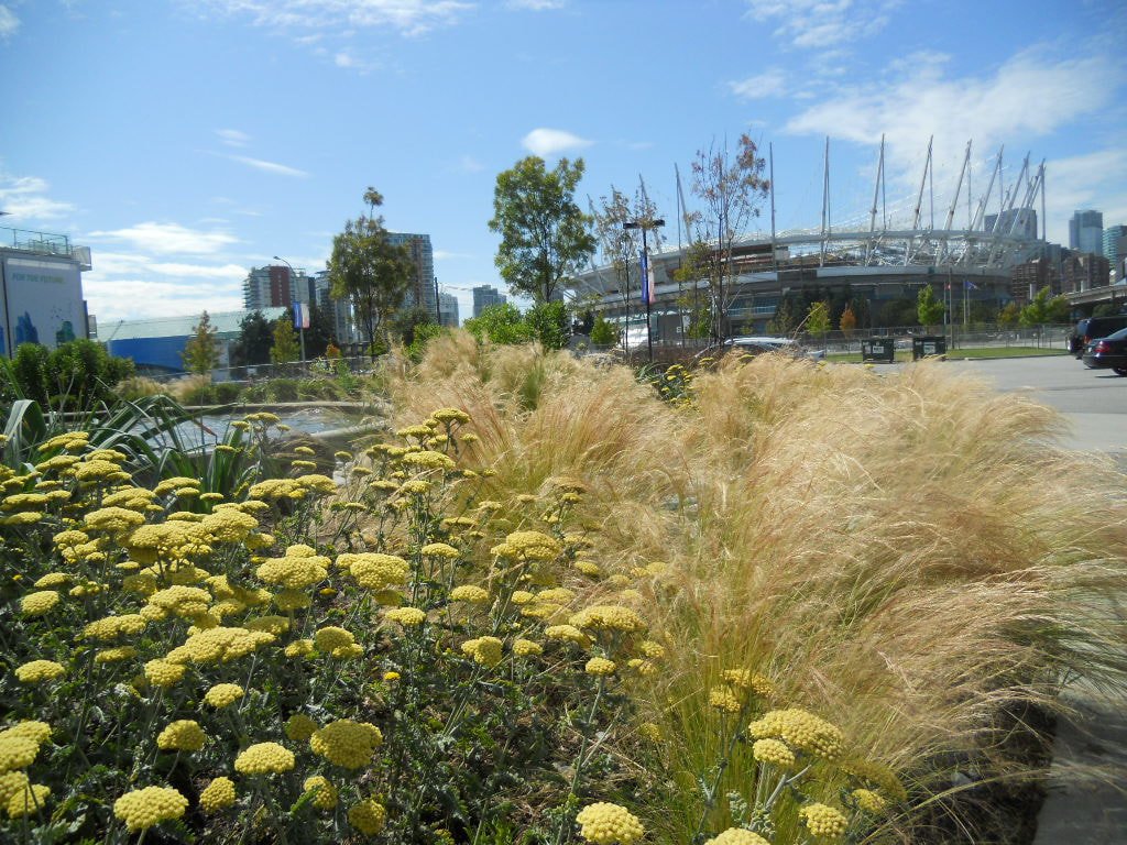 flower power garden design - home