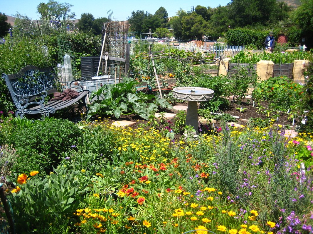 seasonal bee gardening - uc berkeley urban bee lab