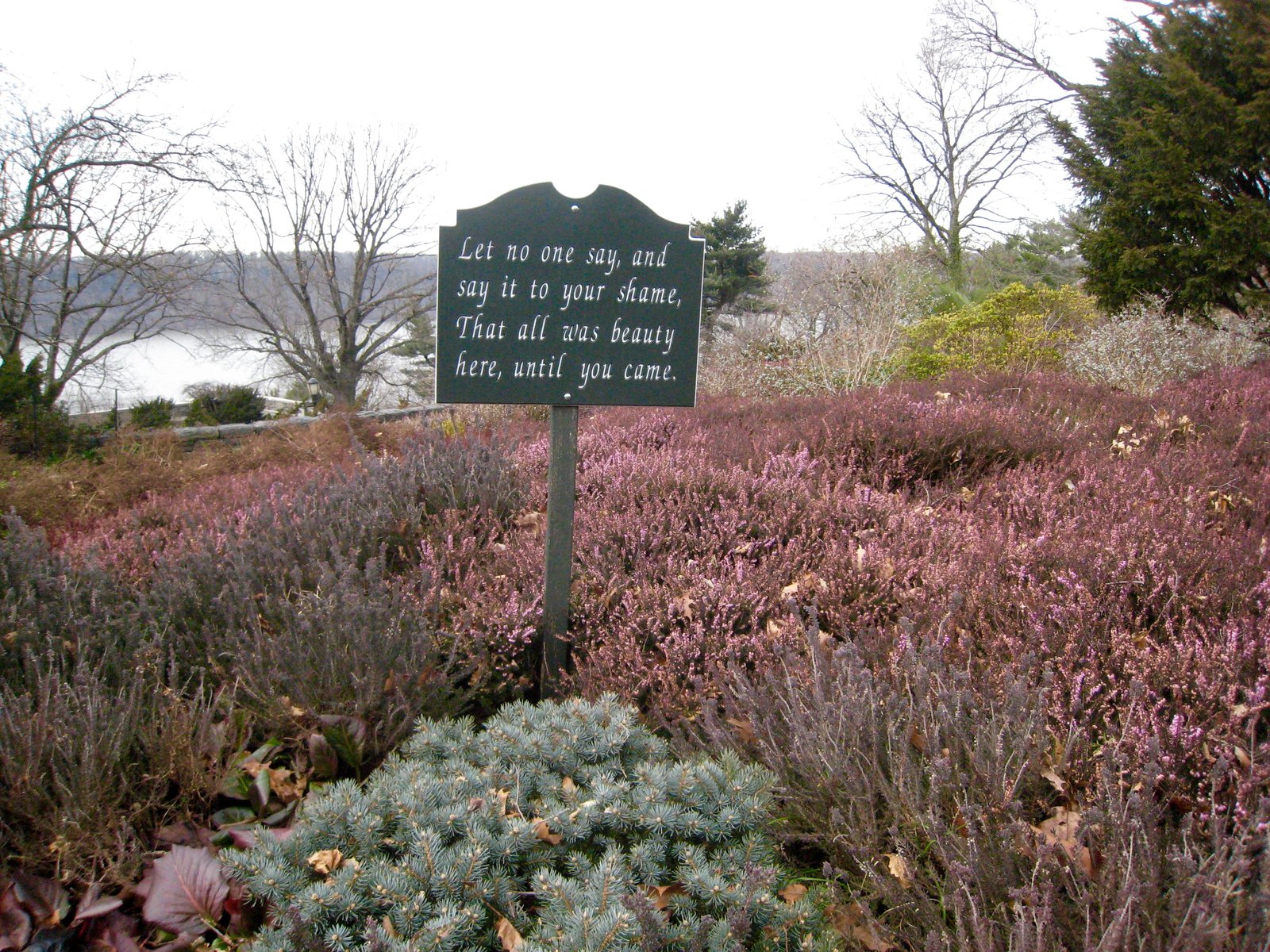 new york city's best secret gardens and hidden parks - curbed ny