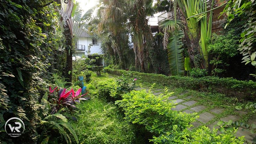 garden house 3 bedroom with big front yard in tay ho for rent