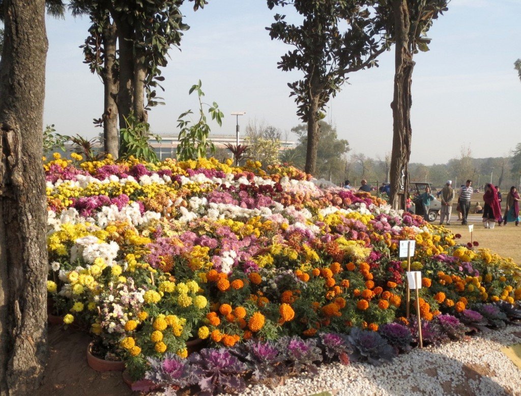 events in islamabad | bookitnow.pk