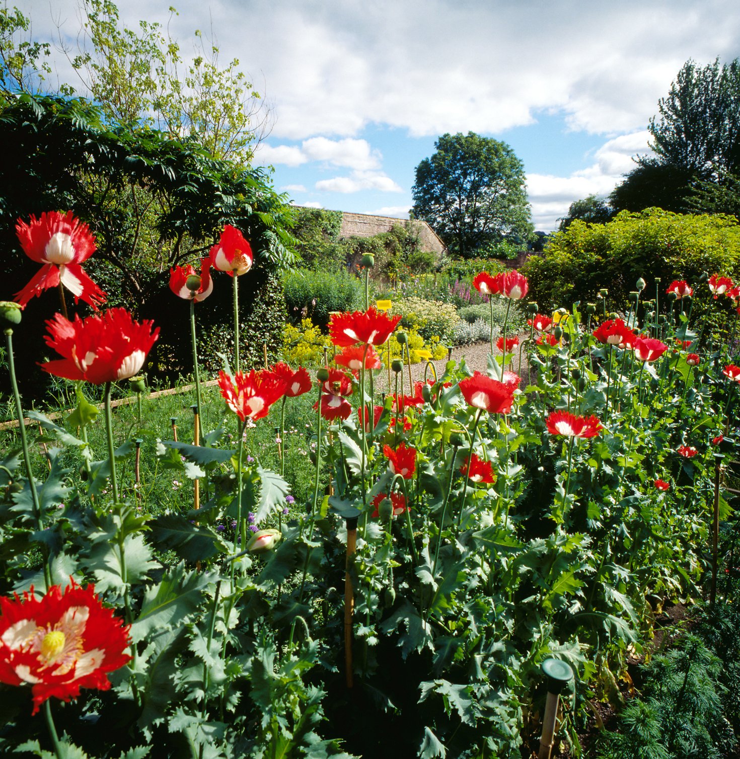priorwood garden