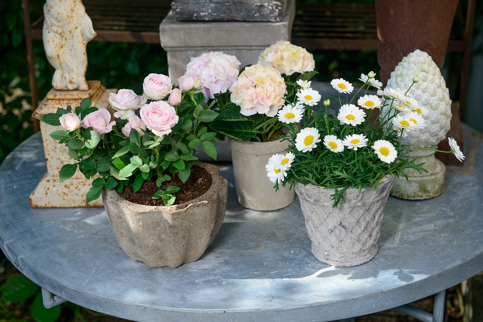 floradania.dk: potted plants outdoors