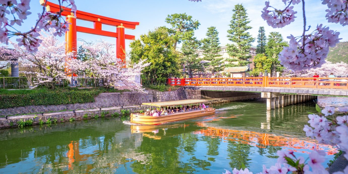 the best places to go in japan during cherry blossom season