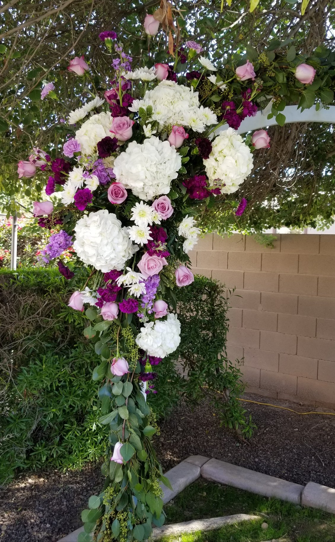 elysium gardens flower shop | bark profile and reviews
