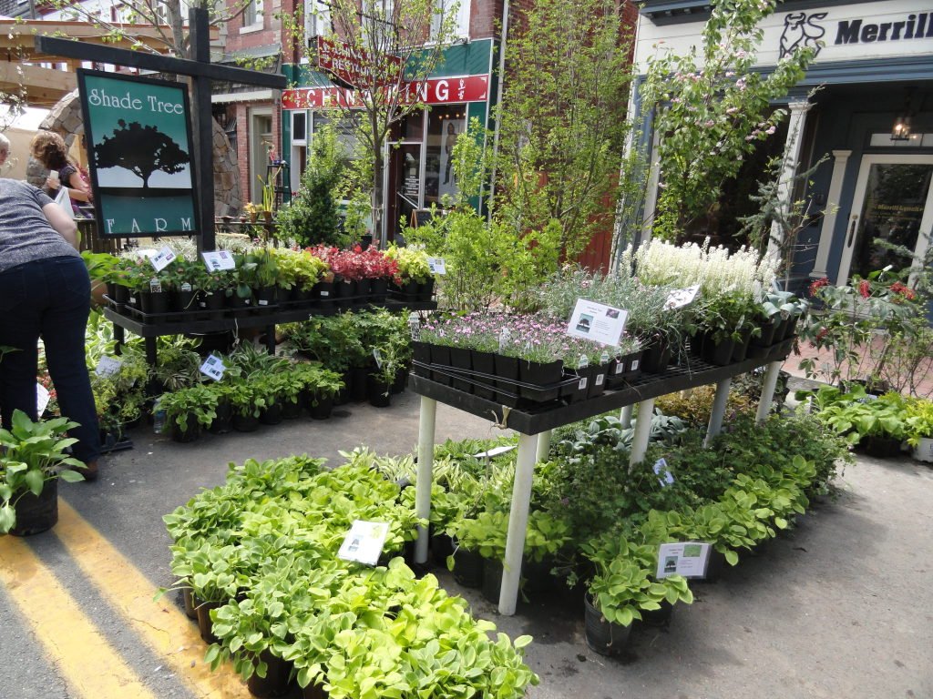 leesburg flower & garden festival marks its 23rd year this weekend