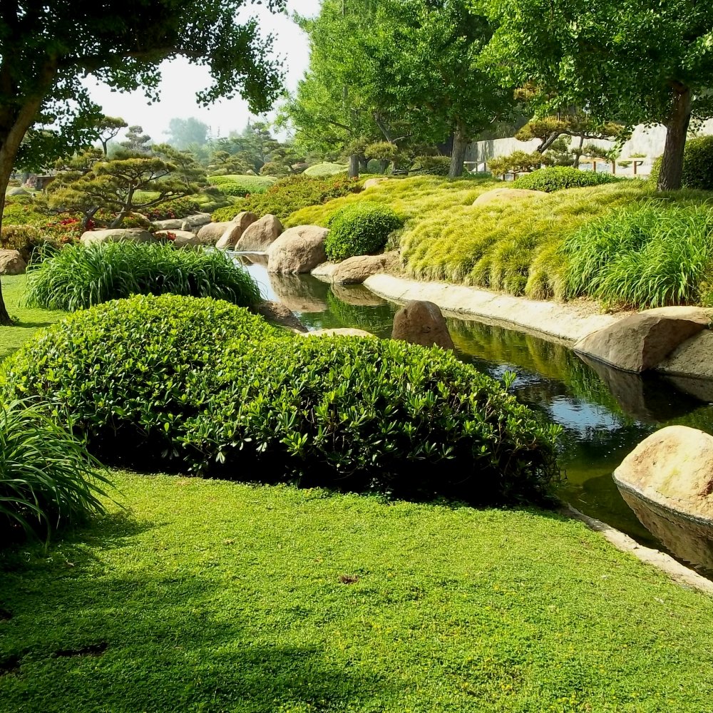 the japanese garden