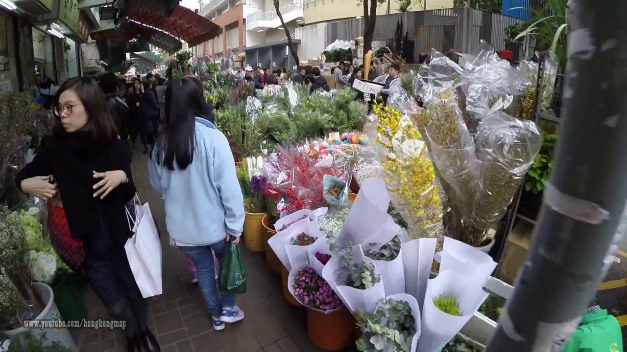 hong kong chinese lunar new year pre-walk 2018 @ mong kok flower market  太子花墟 (2018-feb-14)