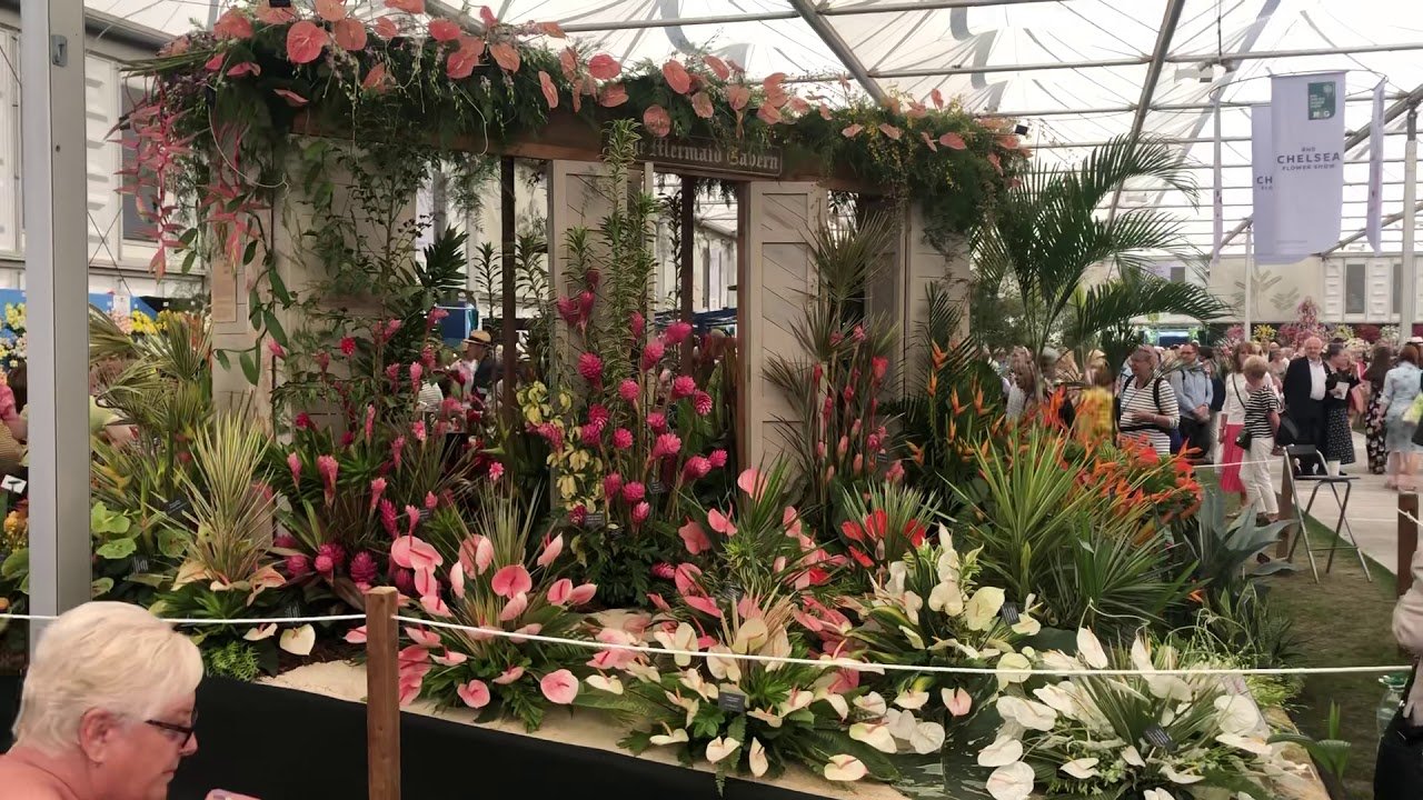 2019 rhs chelsea flower show barbados presentation gold award winner