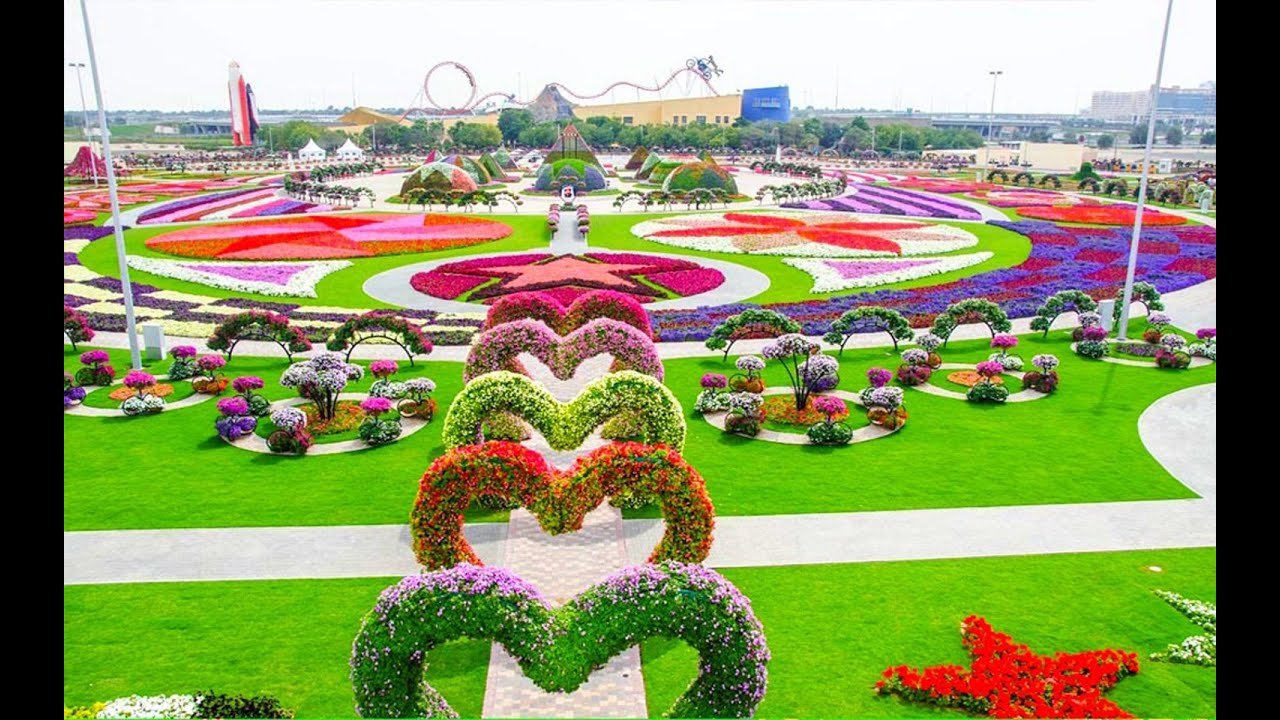 most beautiful and biggest natural flower garden in the world | dubai  miracle gardens