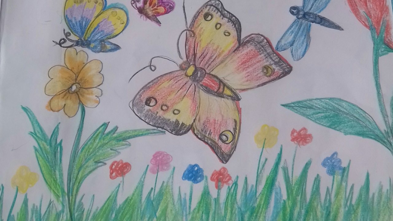 how to draw beautiful butterflies in a garden