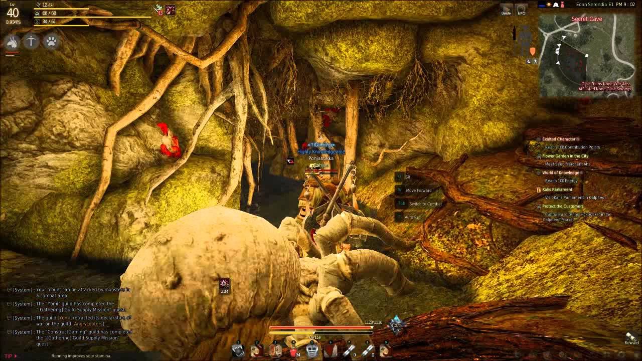 hidden bdo: spider cave