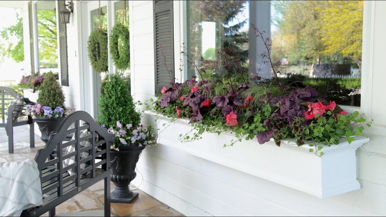 planting shade-loving plants in my window boxes! ???// garden answer