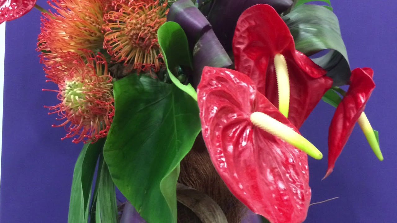 nj flower & garden show 2018